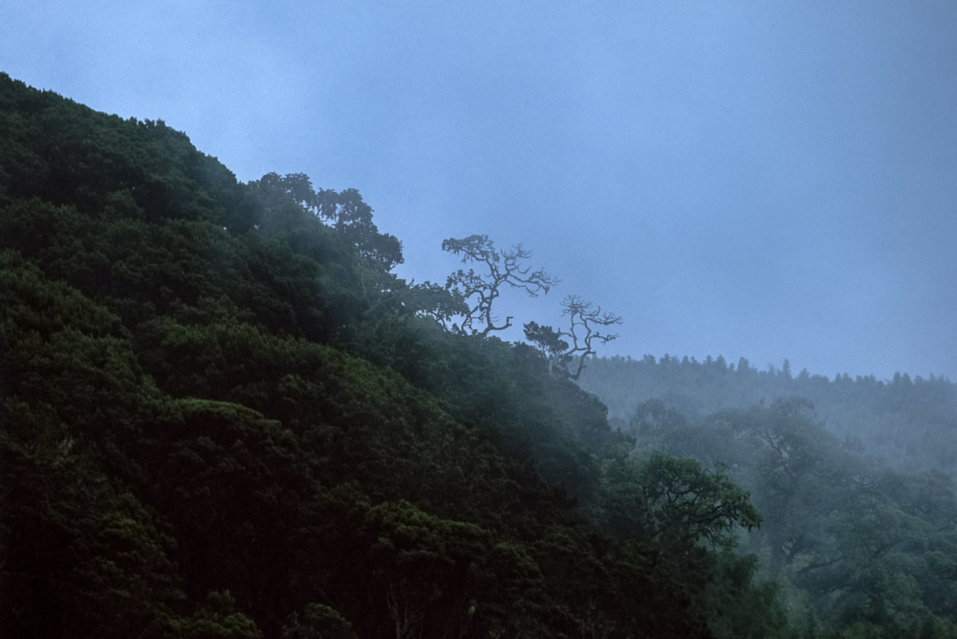 Aberdare Ranges