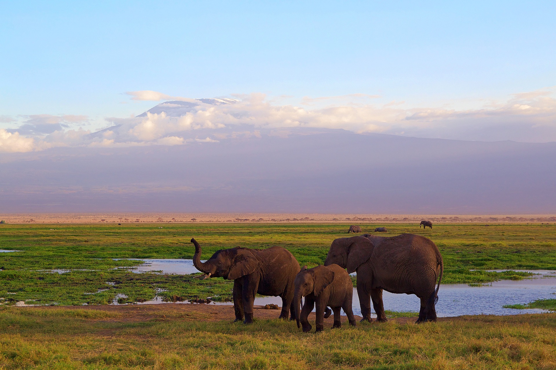 Amboseli